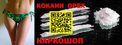 гидра Кандалакша