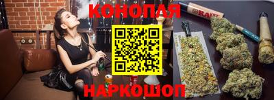 гидра Кандалакша