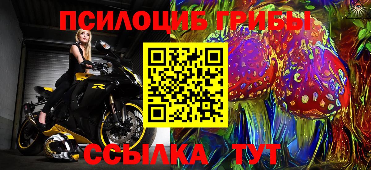 Буйнакск  Галлюциногенные грибы Cubensis  купить наркотик  Галлюциногенные грибы Cubensis  Вход с VPN 